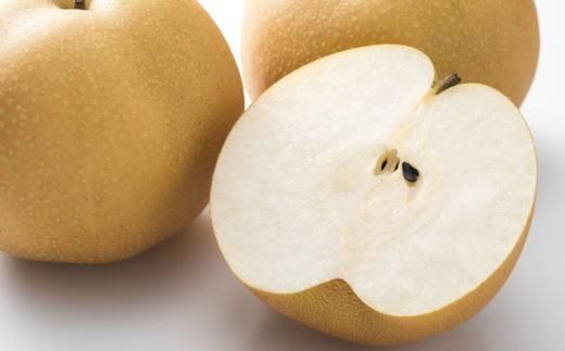 和歌山県産の梨約2kg(品種おまかせ)★2026年8月下旬頃より順次発送【TM181】 303446_XH92144