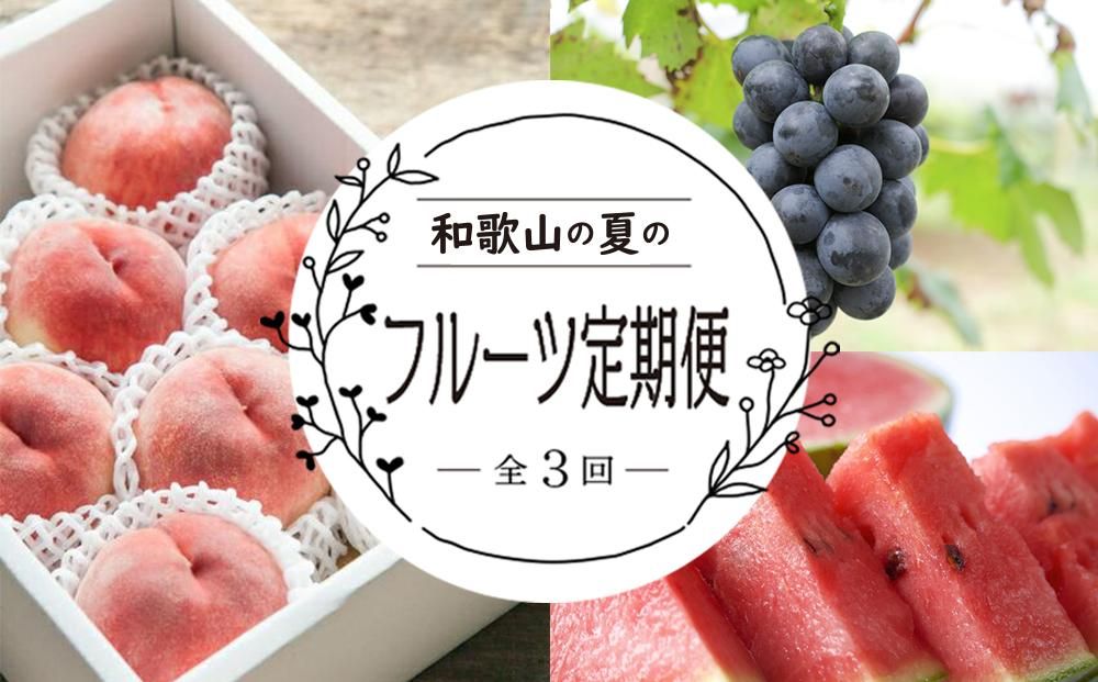 定期便全3回 和歌山の人気の夏のフルーツをお届け! [TM204] 303446_XH92154
