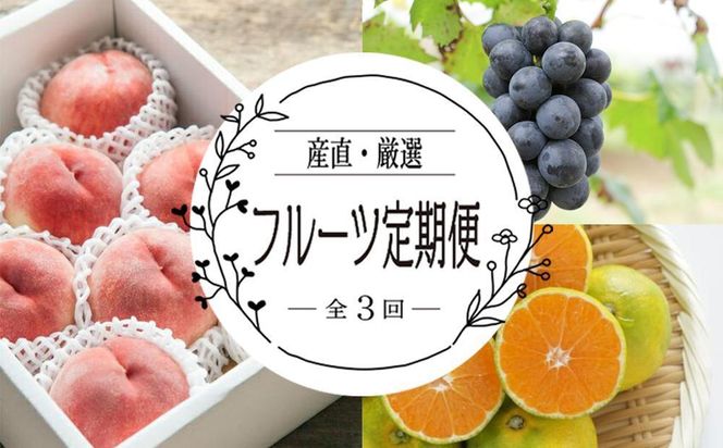 ya̎R쒬zy֑S3zYEIt[cցyTM190z 303446_XH92184