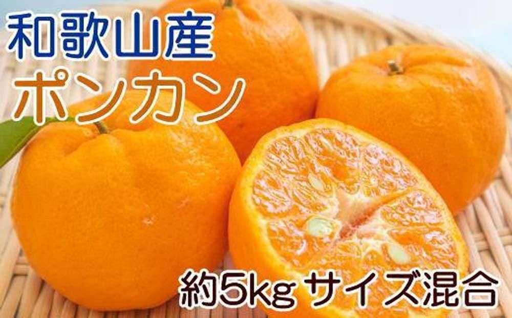 和歌山産ポンカン約5kg(サイズ混合・秀優品)★2025年2月初旬頃より順次出荷[TM136] 303446_XH92191