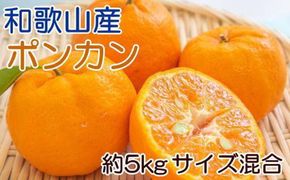 和歌山産ポンカン約5kg（サイズ混合・秀優品）★2025年2月初旬頃より順次出荷【TM136】 303446_XH92191