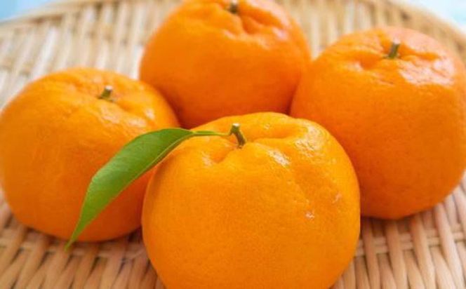 和歌山産ポンカン約5kg（サイズ混合・秀優品）★2026年2月初旬頃より順次出荷［TM136］ 303446_XH92191