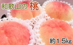 【産直・人気の特産品】和歌山の桃 約1.5kg★2025年6月下旬から8月上旬頃順次発送★【TM92】 303446_XH92192