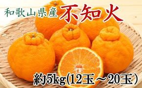 和歌山県産不知火約5kg（12玉～20玉おまかせ）2L～5Lサイズ★2026年2月下旬頃より順次発送［TM131］ 303446_XH92209