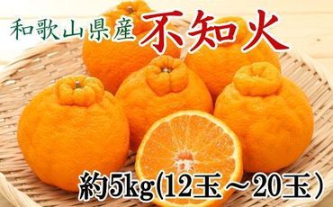 和歌山県産不知火約5kg(12玉〜20玉おまかせ)2L〜5Lサイズ★2025年2月下旬頃より順次発送[TM131] 303446_XH92209