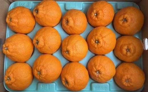 和歌山県産不知火約5kg（12玉～20玉おまかせ）2L～5Lサイズ★2026年2月下旬頃より順次発送［TM131］ 303446_XH92209