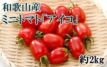 【2024年12月出荷分】和歌山産ミニトマト「アイコトマト」約2kg（S・Mサイズおまかせ）【TM158】 303446_XH92219