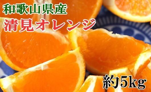 和歌山県産清見オレンジ約5kg(サイズ混合)★2026年3月中旬頃より順次発送[TM160] 303446_XH92221
