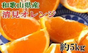 和歌山県産清見オレンジ約5kg（サイズ混合）★2025年3月中旬頃より順次発送【TM160】 303446_XH92221