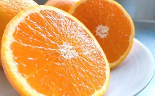 和歌山県産清見オレンジ約5kg（サイズ混合）★2026年3月中旬頃より順次発送［TM160］ 303446_XH92221