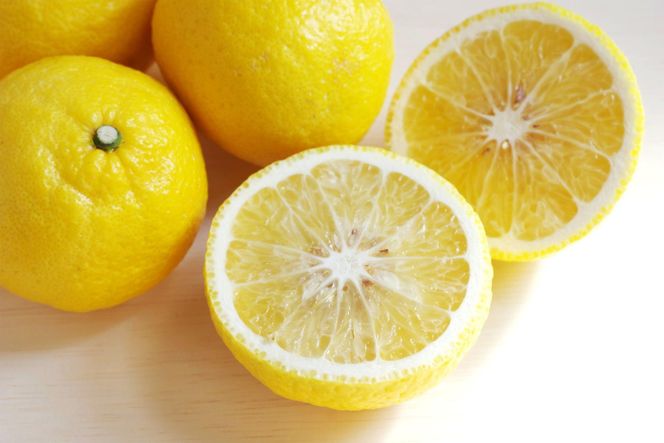 ［さわやか柑橘］和歌山県産はるかみかん約4.5kg（サイズ混合　秀品）★2026年2月下旬頃より順次発送［TM162］ 303446_XH92223