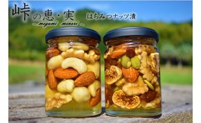 ナッツの蜂蜜漬2種セット【峠の恵】【峠の実】 【SW18】 303446_XJ005