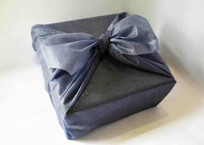 【ギフト用】高級南高梅うす塩・はちみつ梅計800g入 紀州塗箱 網代模様仕上 【SW76】 303446_XJ042-GFT