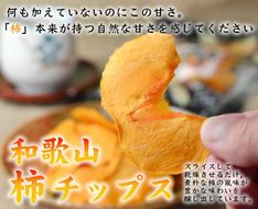 やわらか柿チップス 60g 10パック かきチップ 紀州味紀行 柿和歌 無添加 紀伊国屋文左衛門本舗【TC11】 303446_XK039