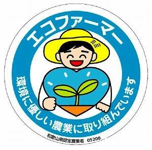 採れたてタネなし柿“Lサイズ”7.5kg＜2024年10月中旬～10月下旬頃発送予定＞ 303446_XL01