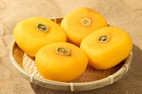 生渋柿たね無 あんぽ柿用T軸枝無約1.5～2kg　6～12玉＜2026年10月中旬～11月上旬ごろ順次発送＞【ART14】 303446_XL11