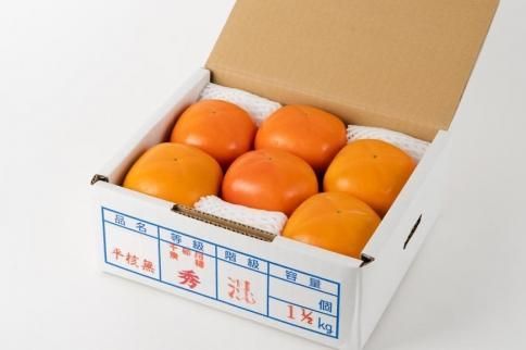 生渋柿たね無 あんぽ柿用T軸枝無約1.5～2kg　6～12玉＜2026年10月中旬～11月上旬ごろ順次発送＞【ART14】 303446_XL11