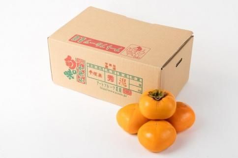 生渋柿たね無 あんぽ柿用T軸枝無約4.5～5kg　約24～30個＜2026年10月中旬～11月上旬ごろ順次発送＞【ART16】 303446_XL15