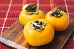 吊るし柿用たね無渋柿T軸又はクリップ付紐付約4.5～5kg　約24～30個＜2026年10月中旬～11月上旬ごろ順次発送＞【ART13】 303446_XL21