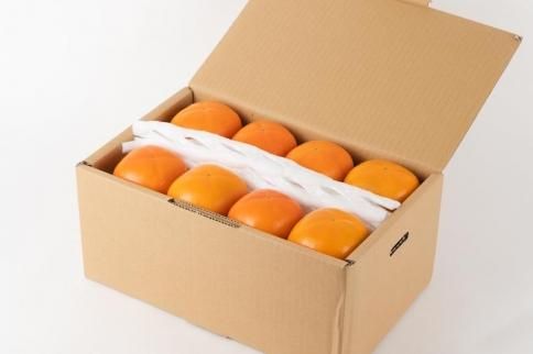 吊るし柿用たね無渋柿T軸又はクリップ付紐付約4.5～5kg　約24～30個＜2026年10月中旬～11月上旬ごろ順次発送＞【ART13】 303446_XL21