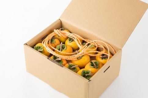 吊るし柿用たね無渋柿T軸又はクリップ付紐付約14.5～15kg　約60～90個＜2026年10月中旬～11月上旬ごろ順次発送＞【ART12】 303446_XL22