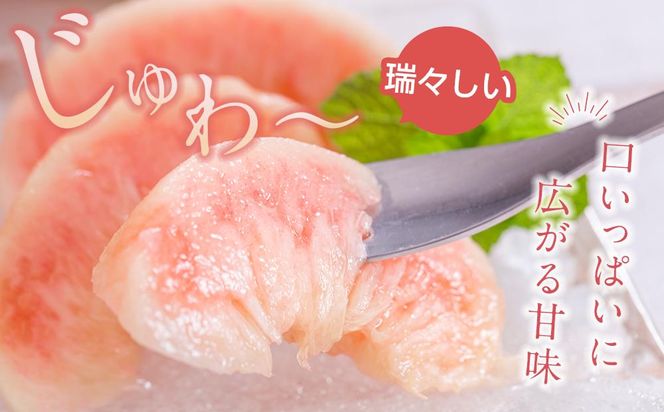 桃 極上秀品 約2kg 6～8個入［先行予約］［2026年6月下旬頃から順次発送］こだわり農家厳選［KG2］ 303446_XM90002