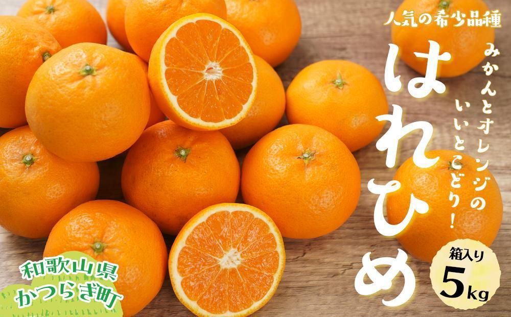 はれひめ(ミカンの希少種) 秀品 約5kg(25個〜30個入)[先行予約][2025年12月中旬頃から発送][KG3] 303446_XM90003