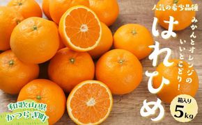 はれひめ（ミカンの希少種） 秀品  約5ｋｇ（25個～30個入）【先行予約】【2024年12月中旬頃から発送】【KG3】 303446_XM90003