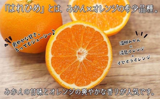 はれひめ（ミカンの希少種） 秀品  約5ｋｇ（25個～30個入）【先行予約】【2024年12月中旬頃から発送】【KG3】 303446_XM90003