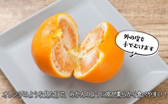 はれひめ（ミカンの希少種） 秀品  約5ｋｇ（25個～30個入）［先行予約］［2025年12月中旬頃から発送］［KG3］ 303446_XM90003