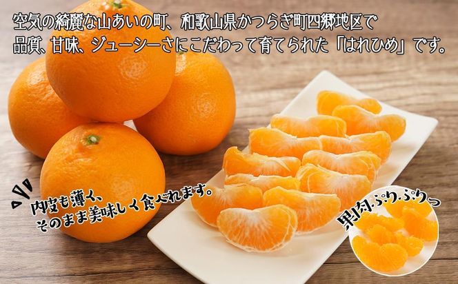 はれひめ（ミカンの希少種） 秀品  約5ｋｇ（25個～30個入）［先行予約］［2025年12月中旬頃から発送］［KG3］ 303446_XM90003