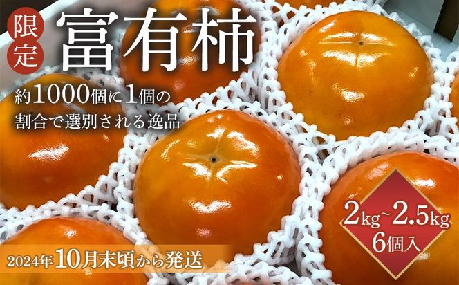 【限定】 富有柿 2kg～2.5kg 6個入 至高の逸品 約1000個に１個！【先行予約】【2024年10月末頃から発送】【KG5】 303446_XM90005