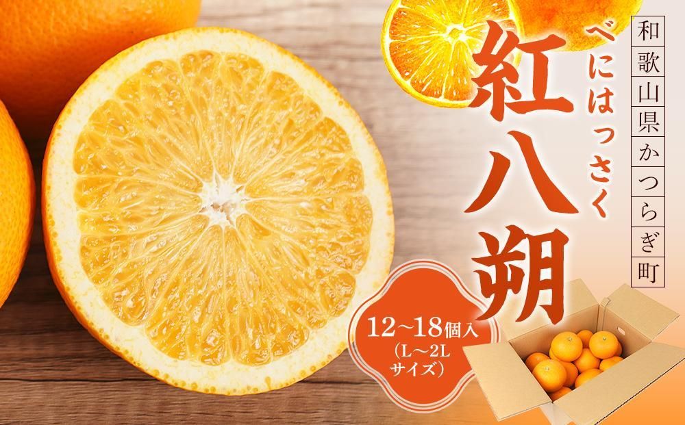 先行予約!希少な紅はっさく 12〜18個入り(L〜2Lサイズ)[2025年1月初旬頃から発送][KG9] 303446_XM90009