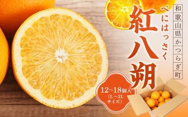 先行予約！希少な紅はっさく 12～18個入り（L～2Lサイズ）【2025年1月初旬頃から発送】【KG9】 303446_XM90009