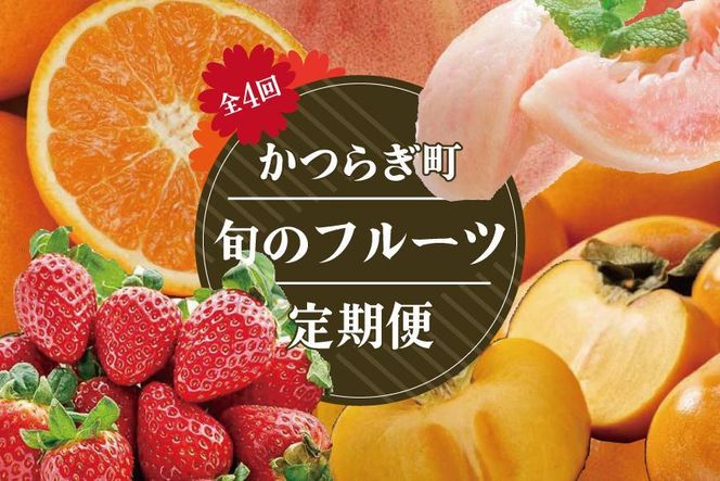 ya̎R쒬zy4zt[c炬肨͂I{̃t[cցyKG11z 303446_XM90011