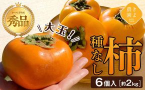 柿(種無し) 6個入 (約2kg)  秀品大玉【2025年9月下旬頃より発送】【KT1】 303446_XN90001