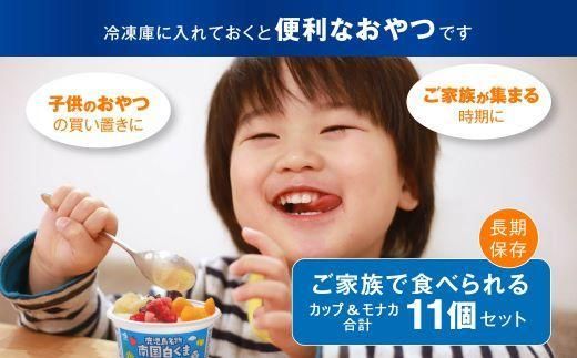 南国白くま＆モナカセット(M&M-35)【 アイス しろくま 白くま 詰め合わせ セット アイスクリーム スイーツ デザート フルーツ マンゴー 人気 鹿児島県 大崎町 AA79】 464686_AA79