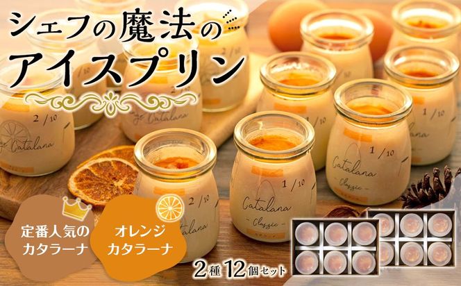 y蒬z@̃v@J^[iƃIWJ^[iZbg 464686_AC83