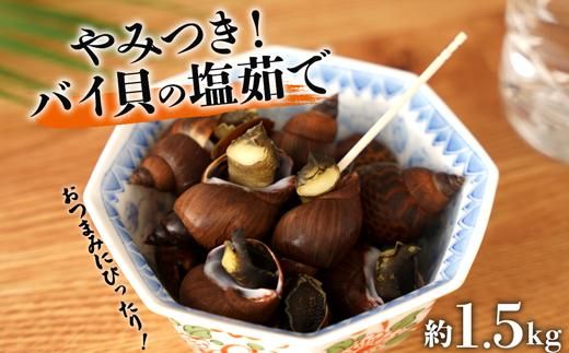 やみつき バイ貝の塩茹で 1.5kg 464686_AH14