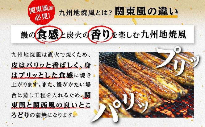 九州産うなぎ備長炭手焼蒲焼４尾　合計1000g以上 464686_AK37