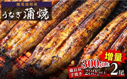 鹿児島県大隅産 うなぎ備長炭手焼蒲焼２尾(合計300g以上） 464686_AK47