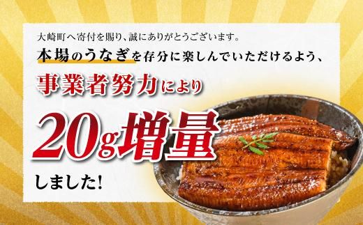 鹿児島県大隅産 うなぎ備長炭手焼蒲焼２尾(合計300g以上） 464686_AK47