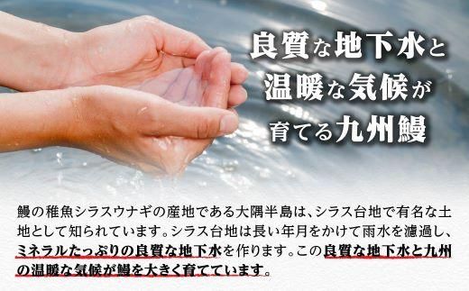 鹿児島県大隅産 うなぎ備長炭手焼蒲焼２尾(合計300g以上） 464686_AK47