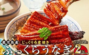 うなぎ 蒲焼 160g×2尾【鹿児島産】地下水で育てた絶品鰻 464686_AQ103