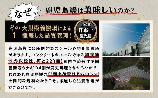 うなぎ 蒲焼 160g×2尾【鹿児島産】地下水で育てた絶品鰻 464686_AQ103