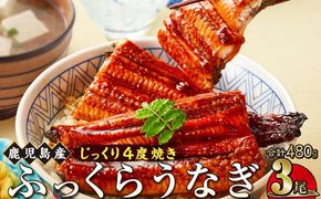 うなぎ 蒲焼 160g×3尾【鹿児島産】地下水で育てた絶品鰻 464686_AQ104