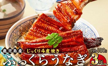 うなぎ 蒲焼 160g×3尾【鹿児島産】地下水で育てた絶品鰻 464686_AQ104