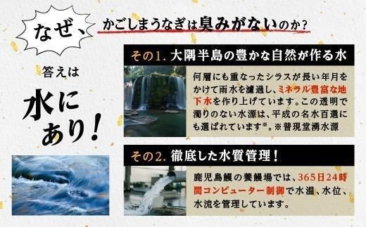 うなぎ 蒲焼 200g×2尾【鹿児島産】地下水で育てた絶品鰻 464686_AQ108