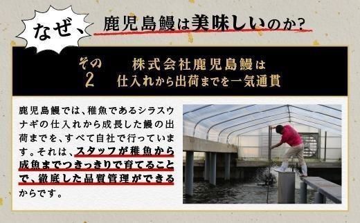 うなぎ 蒲焼 200g×2尾【鹿児島産】地下水で育てた絶品鰻 464686_AQ108