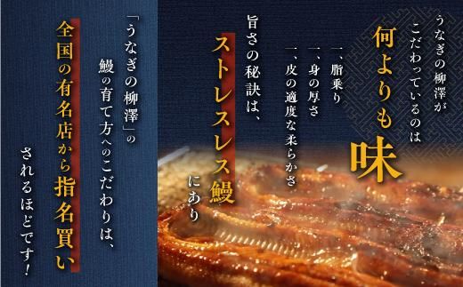 【年内発送】うなぎの柳澤　うなぎ蒲焼2尾（計340g） 464686_AR06